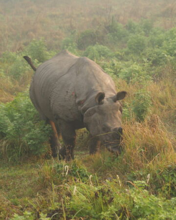 Tour in Nepal